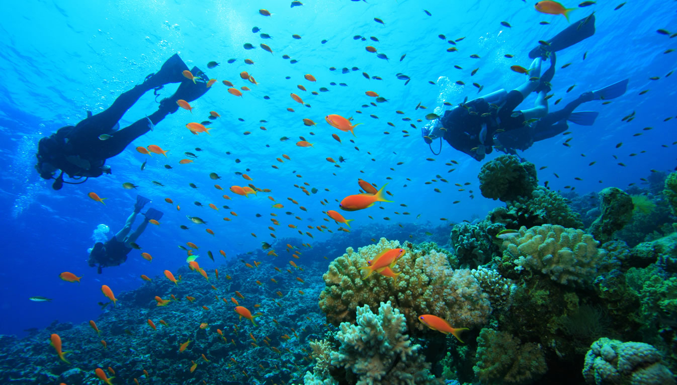 Buceo