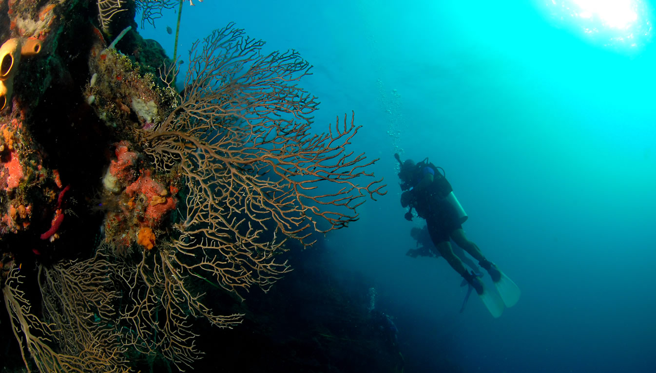 Buceo